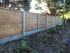 Fence using concrete posts and gravel boards
