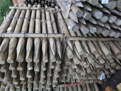 Fencing stakes are held in stock
