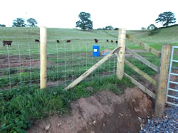Stock fencing showing stakes & strainers